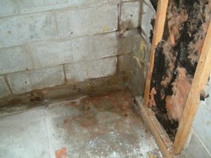 basement-waterproofing-norcross-ga-cgs-waterproofing-1
